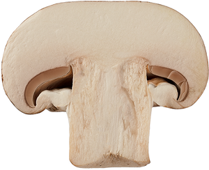 Cremini Mushroom