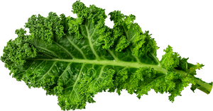 Kale