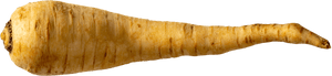 Parsnip